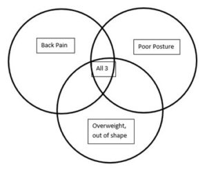 Pain, Posture and Fitness Venn Diagram